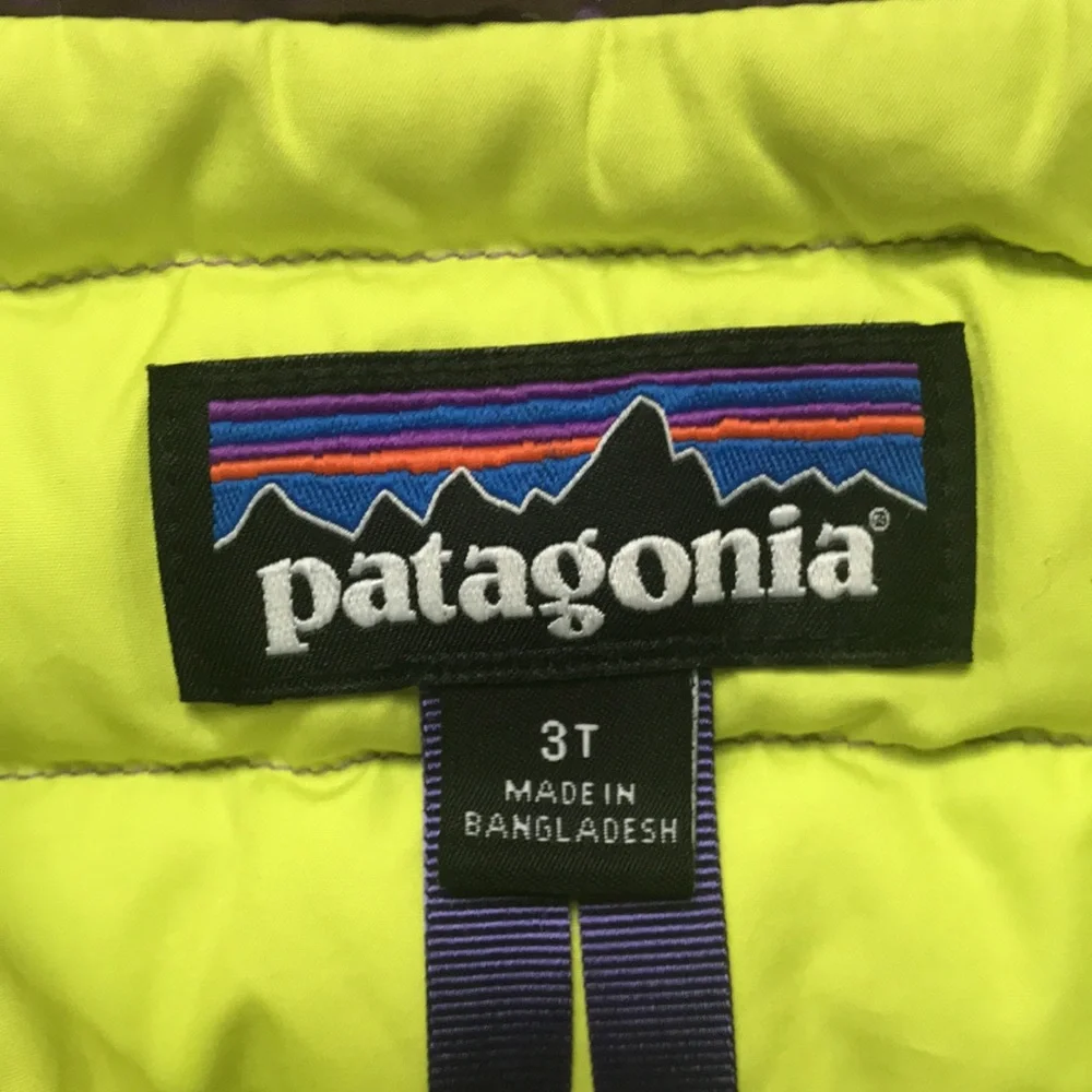 Patagonia Down Vest (size 3T)